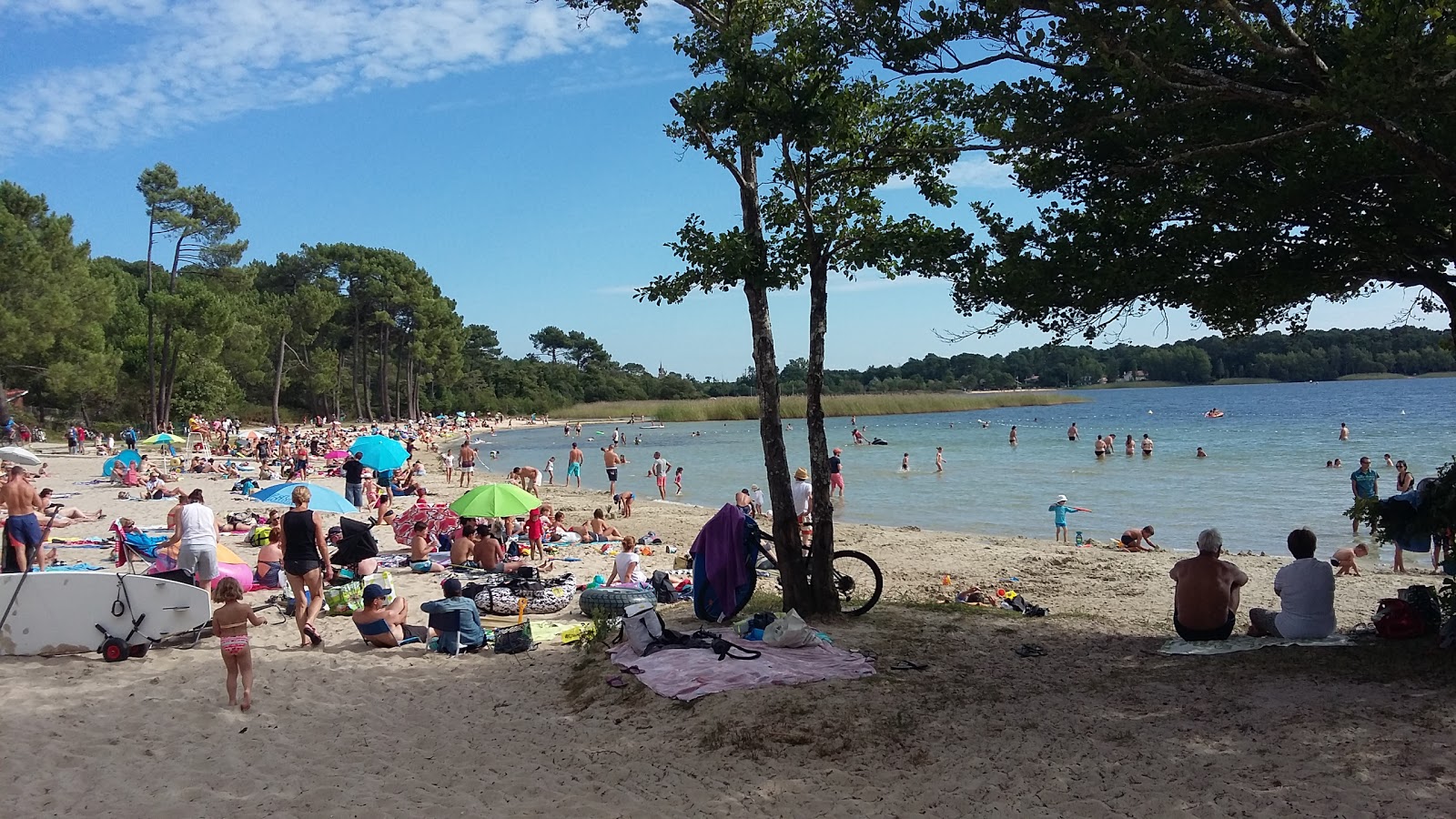 Sanguinet plage'in fotoğrafı vahşi alan