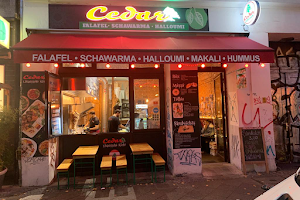 Cedar Berlin Shawarma Falafel (Schawarma) image
