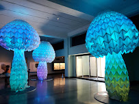 Cincinnati Art Museum - Photo 7 - Car repair in Cincinnati, OH, Cincinnati