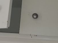 Beecasso Live Bee Removal Inc - Photo 7 - Car repair in , Torrance