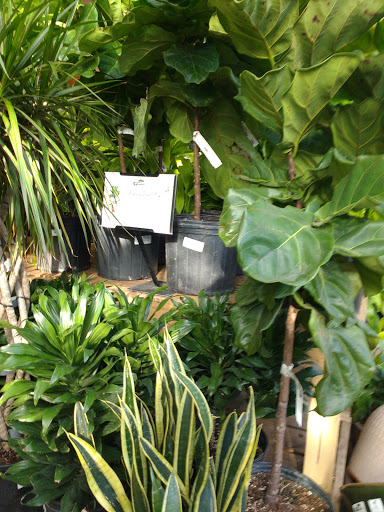 Garden Center «English Gardens», reviews and photos, 44850 Garfield Rd, Charter Twp of Clinton, MI 48038, USA