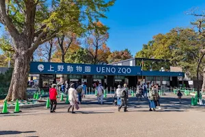 Ueno Zoological Gardens image