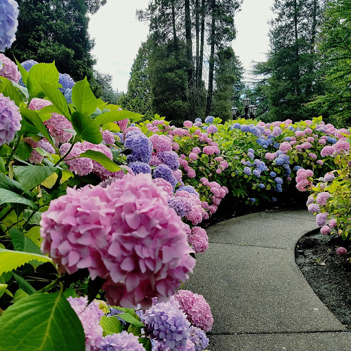 Funeral Home «Acacia Memorial Park & Funeral Home», reviews and photos, 14951 Bothell Way NE, Seattle, WA 98155, USA