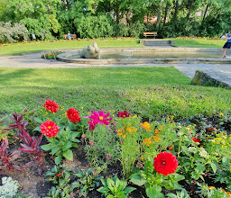 Stadt Park photo