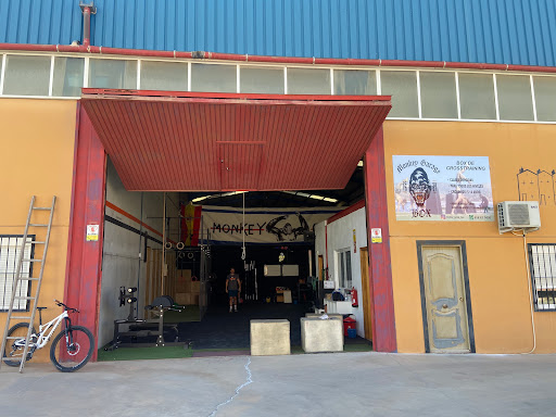 MONKEY GARAGE BOX en Zújar, Granada