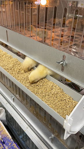 Agricultural Service «IFA Country Stores», reviews and photos, 562 N 900 W, American Fork, UT 84003, USA