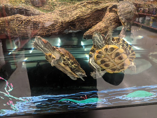 Pet Supply Store «Petco Animal Supplies», reviews and photos, 6596 Youree Dr, Shreveport, LA 71105, USA