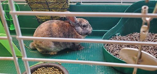 Pet Store «Pet World Warehouse Outlet», reviews and photos, 2148 W Beltline Hwy, Madison, WI 53713, USA