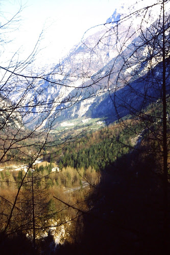 ristoranti Trattoria Campo Base Alpi Giulie di Della Mea Daniele Chiusaforte