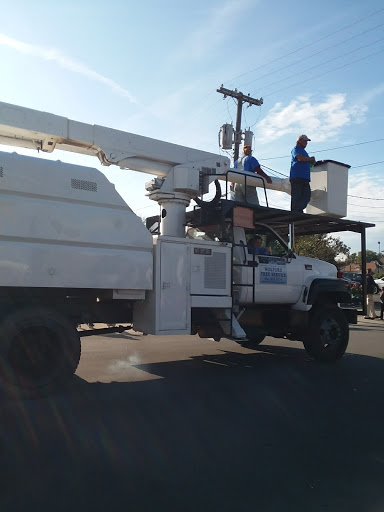 Discount Store «Dollar General», reviews and photos, 123 S West St, Tipton, IN 46072, USA