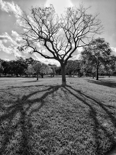 Park «Liberty Tree Park», reviews and photos, 7421 NW 5th St, Plantation, FL 33317, USA