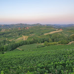 Photo n°3 de l'avis de Emanuela.u fait le 26/08/2021 à 08:19 sur le  Agriturismo Brusalino à Mango