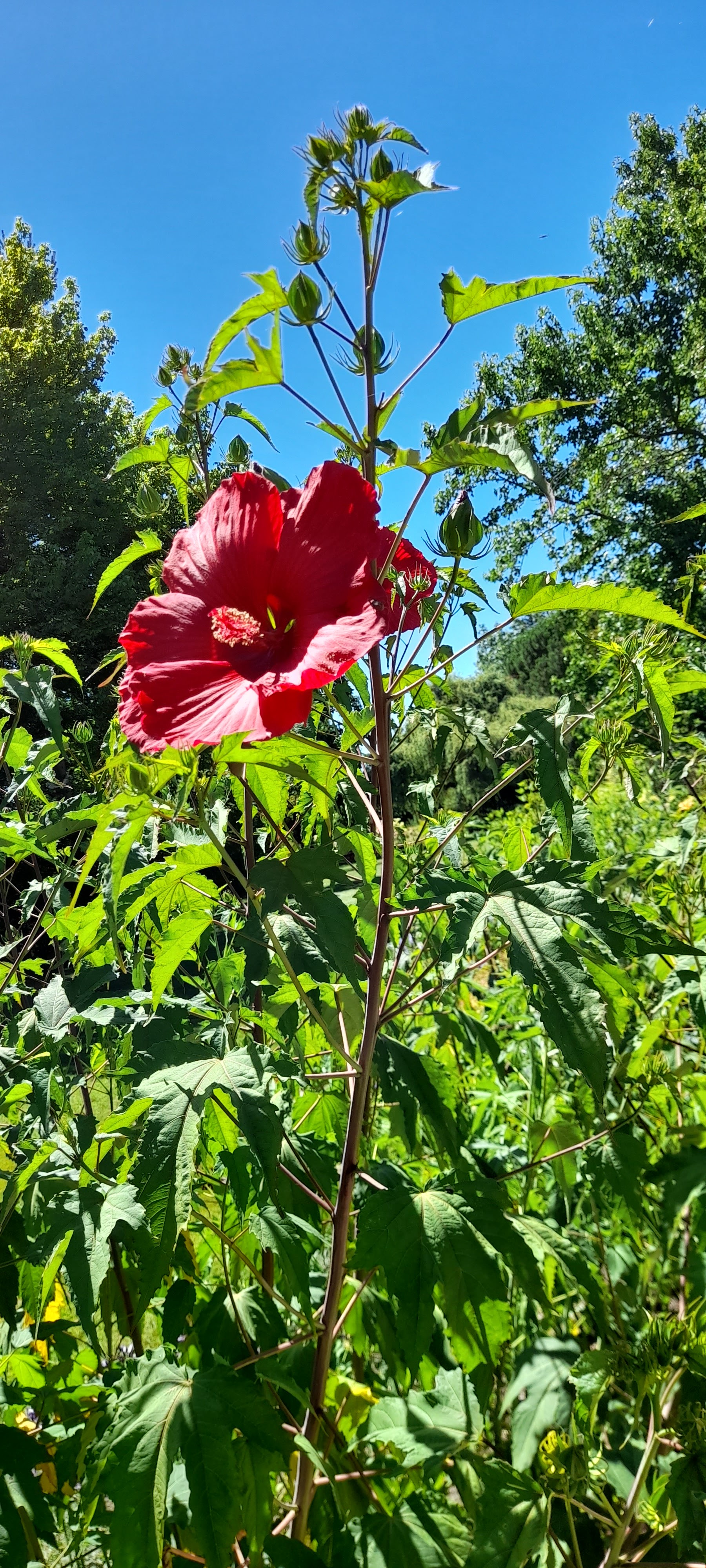 Photo n° 4 de l'avis de Christine.a fait le 13/07/2022 à 12:27