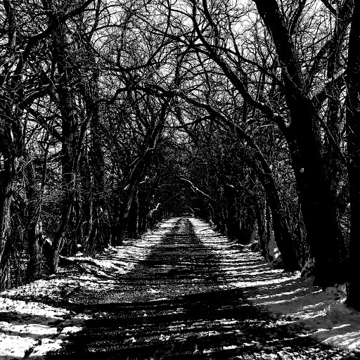 Battle Site «Third Battle of Winchester Battlefield Park», reviews and photos, 541 Redbud Rd, Winchester, VA 22603, USA