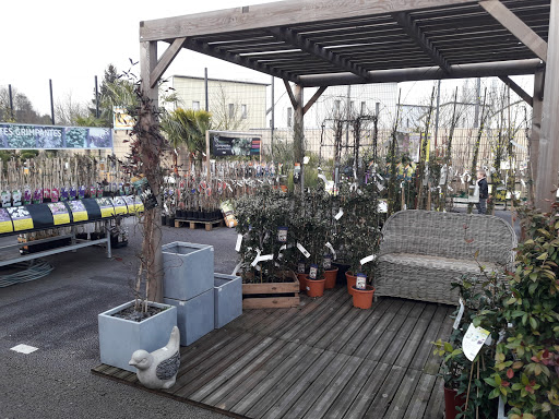 Magasins pour acheter des plantes de terrasse Lille