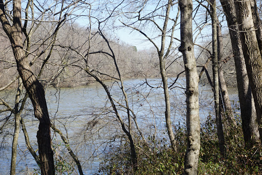 Park «Jones Bridge Park», reviews and photos, 4901 E Jones Bridge Rd, Peachtree Corners, GA 30092, USA