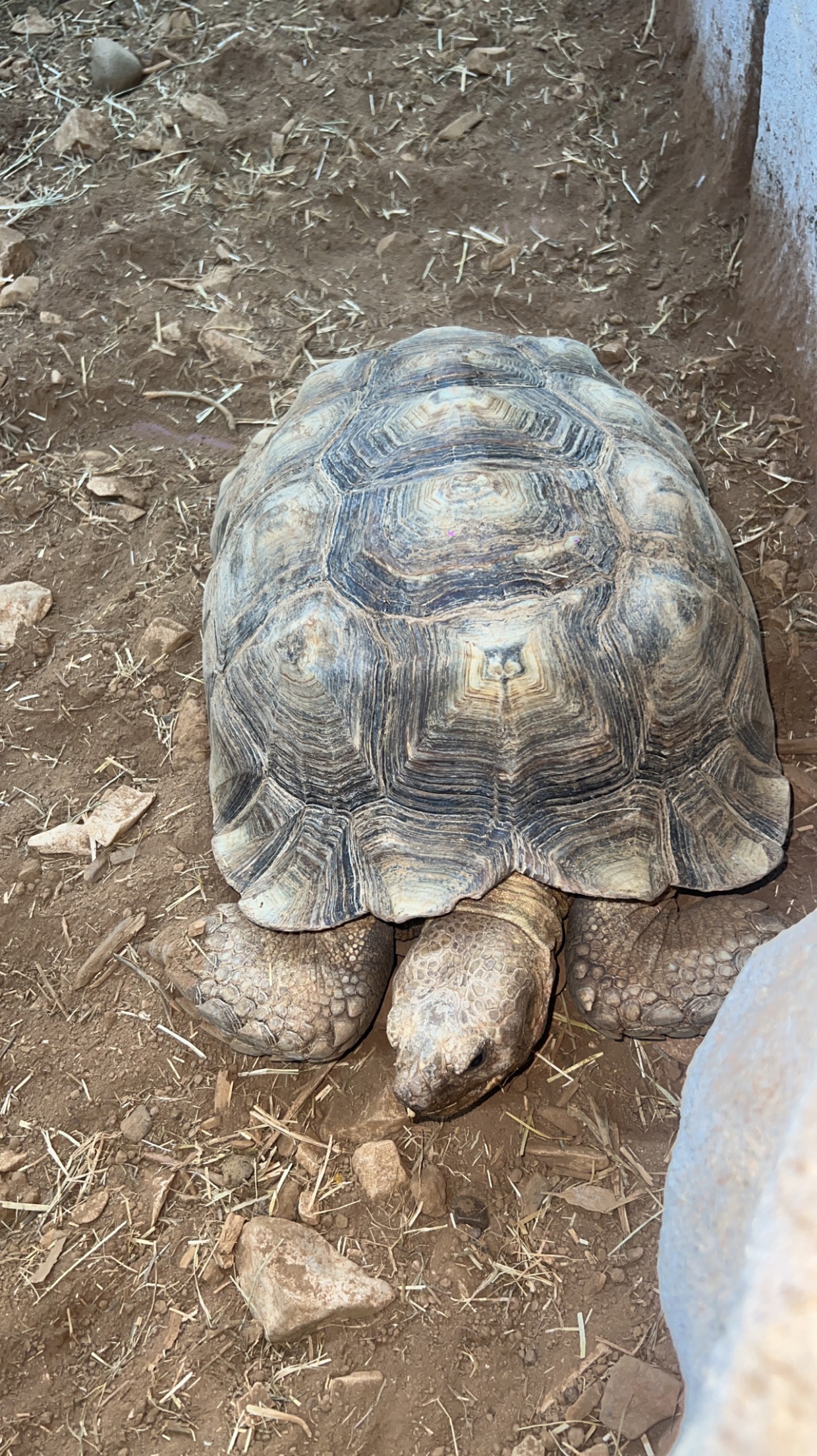 Photo n° 2 de l'avis de Ophelie.o fait le 02/08/2023 à 13:00