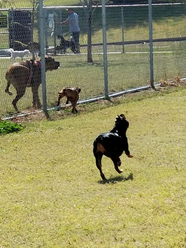 Park «Grover Basin Dog Park», reviews and photos, 17445 N 20th St, Phoenix, AZ 85022, USA