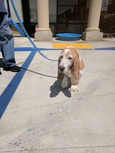 Pet Supply Store «Unleashed by Petco», reviews and photos, 19339 Victory Blvd #35, Reseda, CA 91335, USA