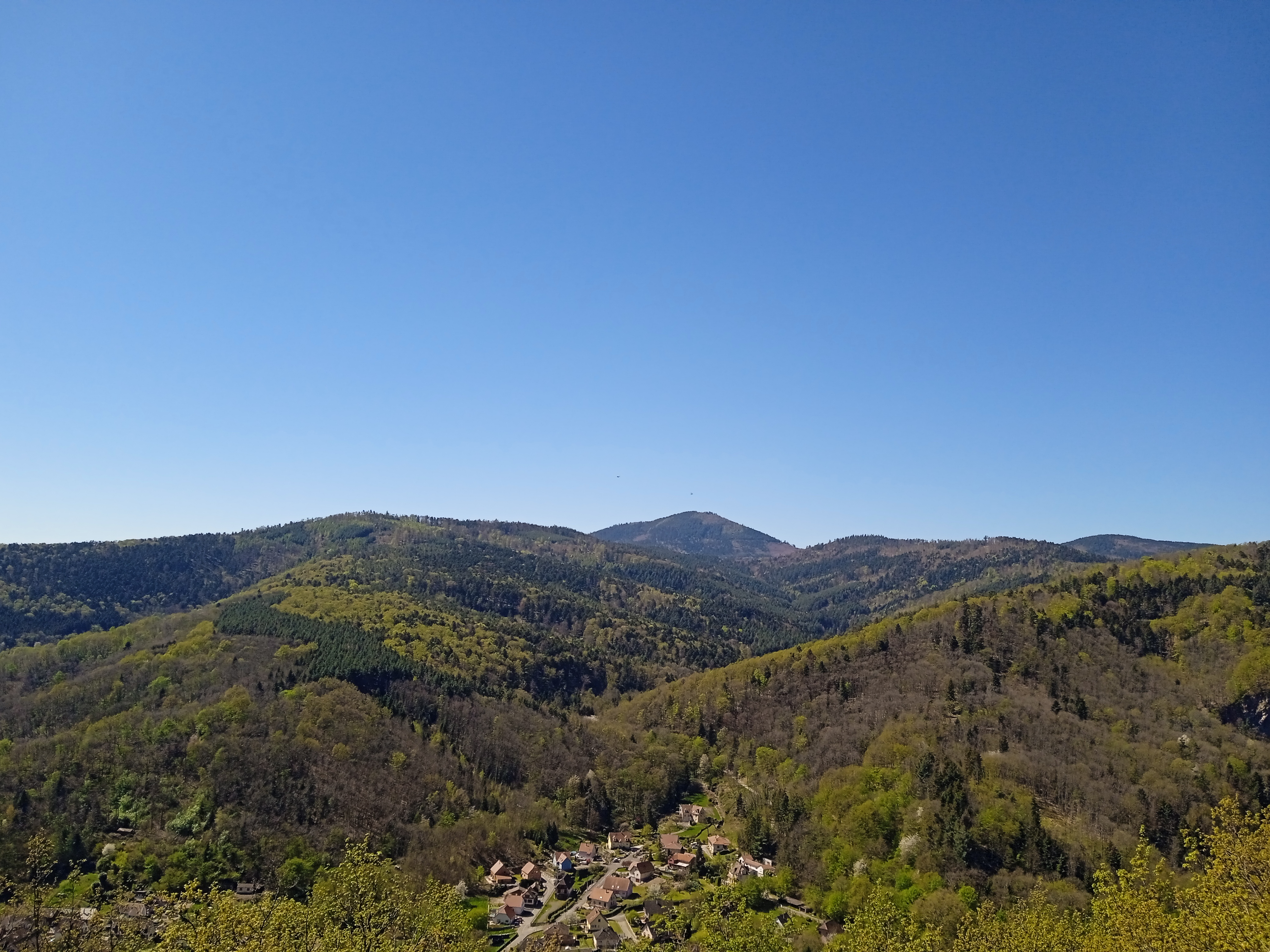 Photo n° 1 de l'avis de Oxilark.e fait le 21/04/2022 à 20:45