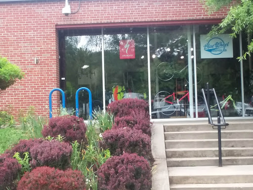 Bicycle Store «Blue Wheel Bicycles», reviews and photos, 941 2nd St SE, Charlottesville, VA 22902, USA