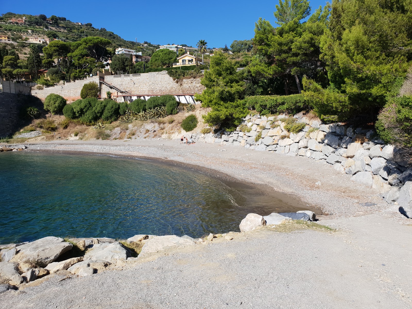 Volo Beach'in fotoğrafı vahşi alan