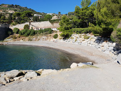 Volo Beach'in fotoğrafı vahşi alan