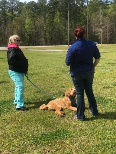 Horns to Halos Dog Training, L.L.C.