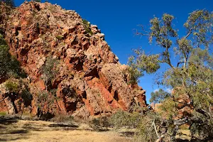 Jessie Gap image