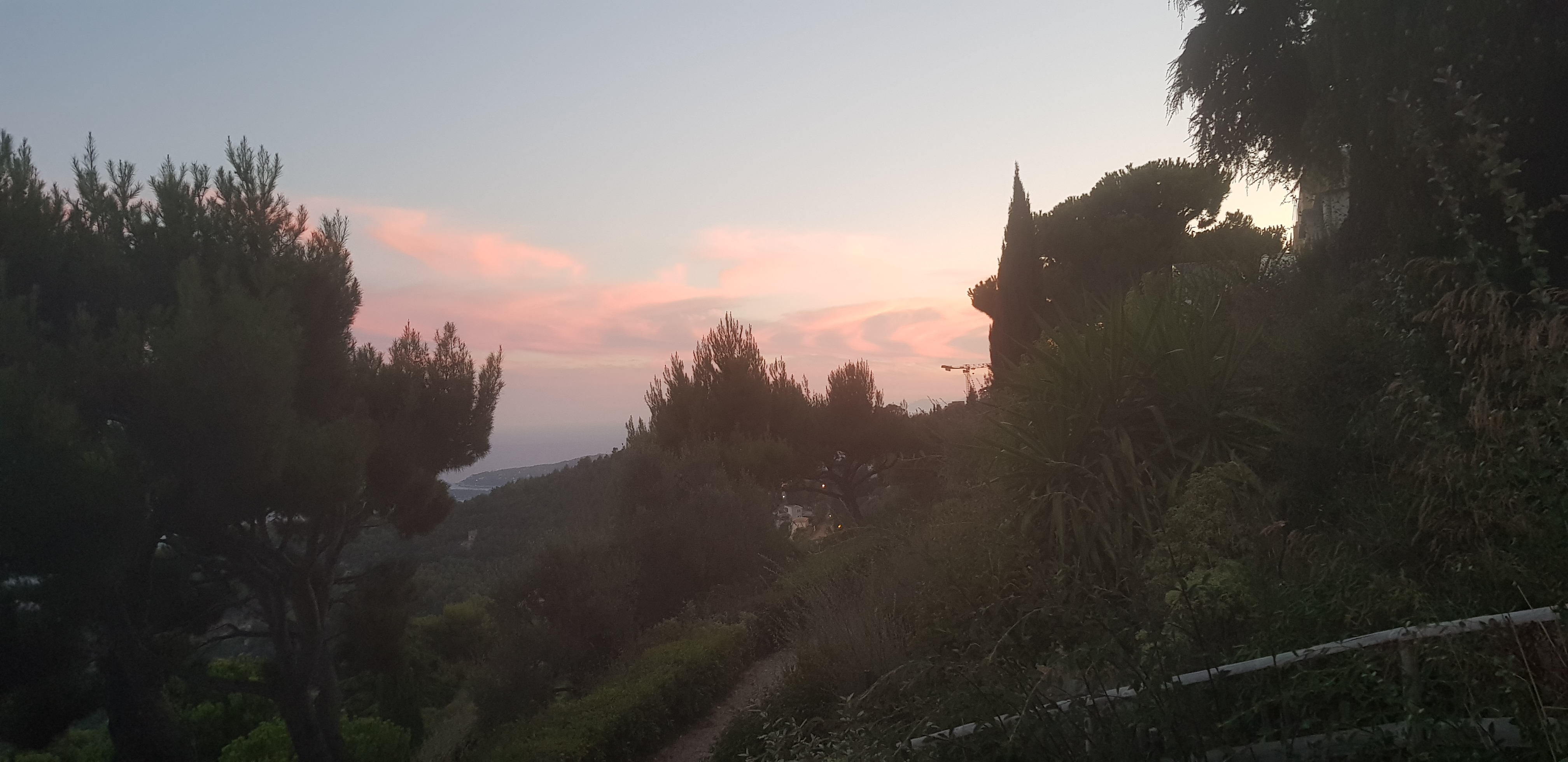 Photo n° 3 de l'avis de Cécile.e fait le 22/08/2020 à 09:41