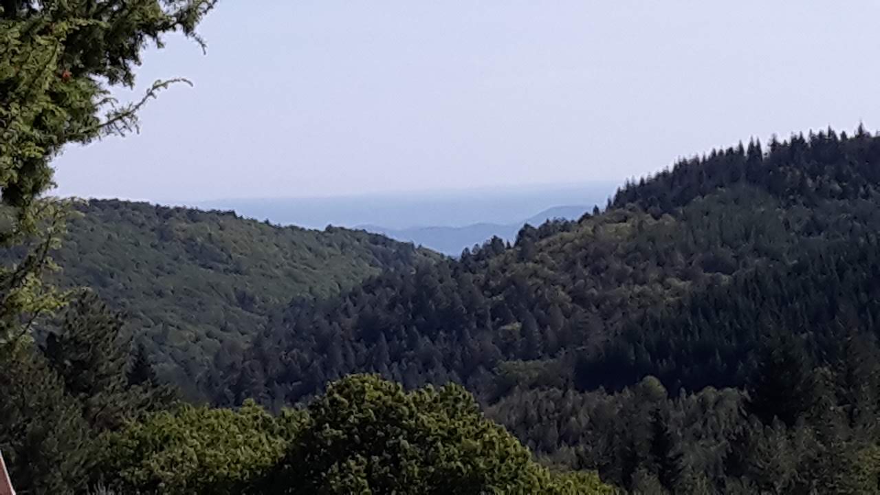 Photo n° 29 de l'avis de Jean.i fait le 29/09/2019 à 16:49