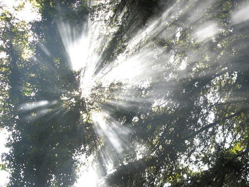 Day Spa «Spa Santangelo formally Balance Studio Spa», reviews and photos, 912 Lakeside Dr, Felton, CA 95018, USA