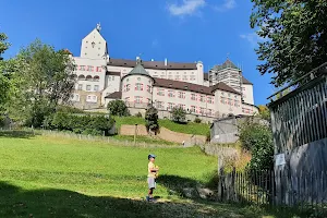 Falknerei Burg Hohenaschau image
