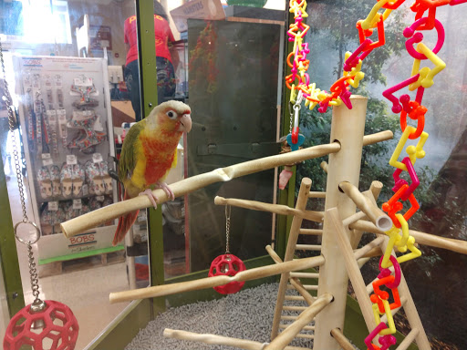 Pet Supply Store «Petco Animal Supplies», reviews and photos, 891 NE D St, Grants Pass, OR 97526, USA