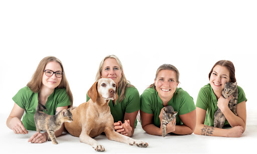 VET-Erfurt - Fachpraxis für Kleintiermedizin Erfurt Dr.Kammlott&Rotsche unter Erfurt, 
