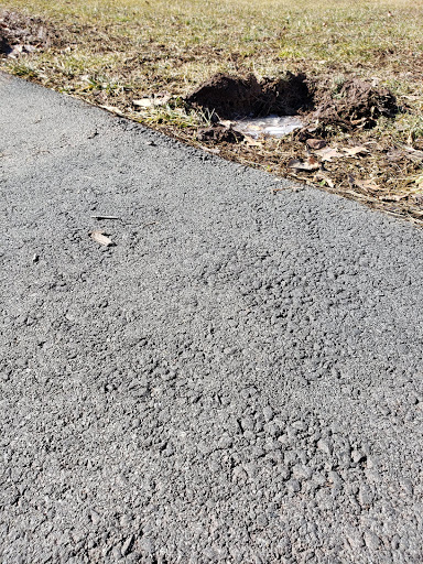 Florist «Limerick Florist», reviews and photos, 671 N Lewis Rd, Royersford, PA 19468, USA