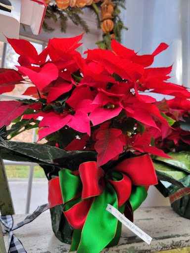 Florist «Seasons of Williamsburg», reviews and photos, 1308 Jamestown Rd, Williamsburg, VA 23185, USA