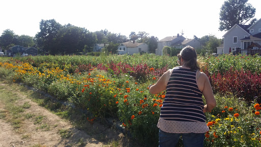 Farm «Dreyer Farms», reviews and photos, 831 Springfield Ave, Cranford, NJ 07016, USA