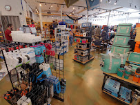 Whole Earth Provision Co. - Photo 9 - Car repair in San Antonio, TX, San Antonio