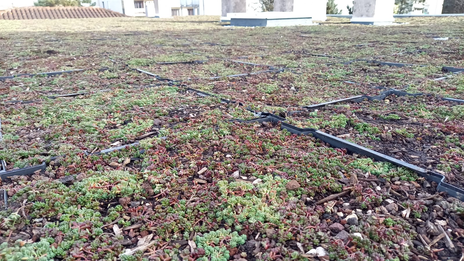 Photo n° 2 de l'avis de Bodo.o fait le 14/01/2021 à 08:56
