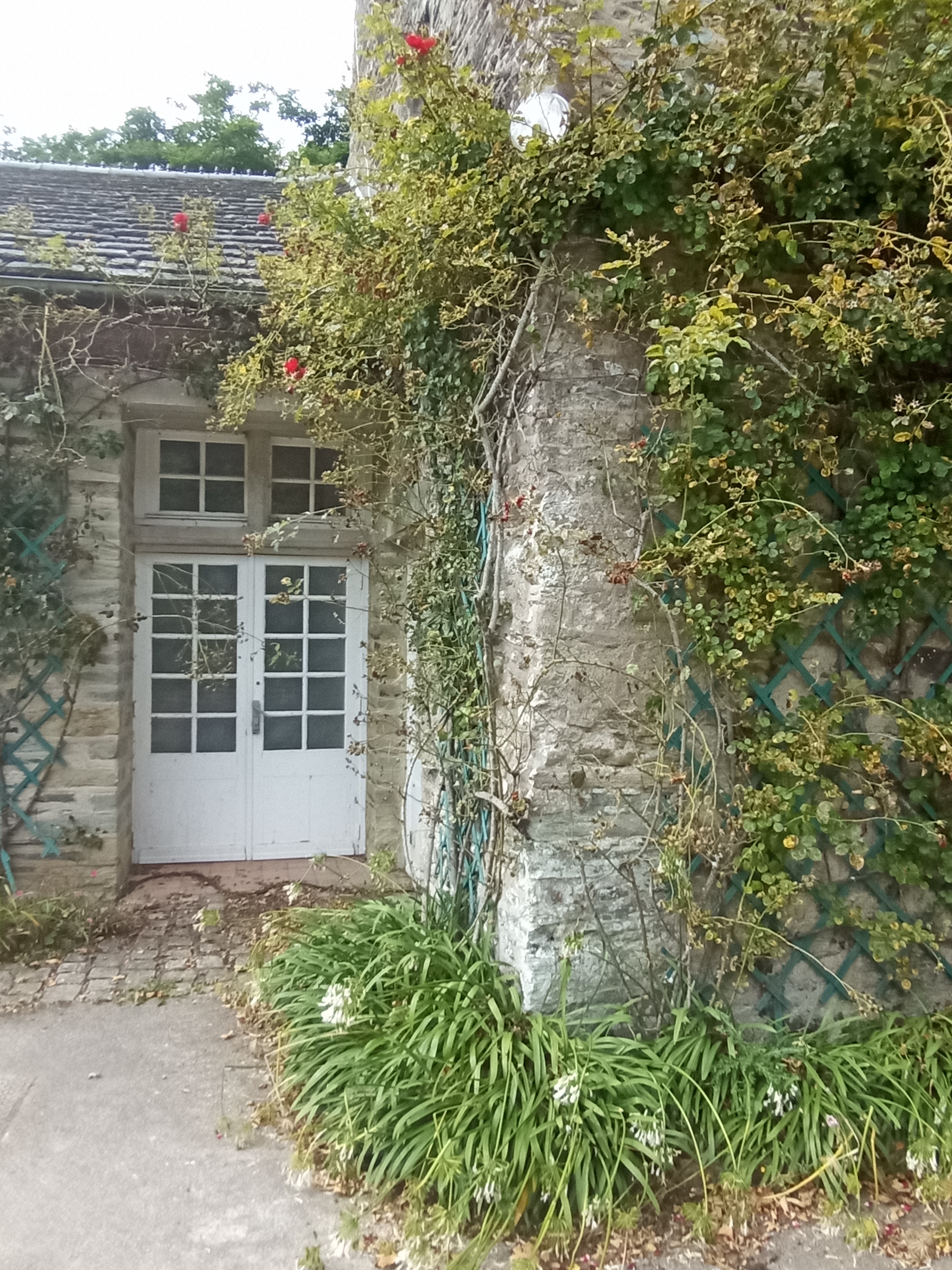 Photo n° 22 de l'avis de Tycha.a fait le 26/08/2021 à 15:44