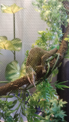 Pet Store «Liberty Agway Pet Center», reviews and photos, 11 Bon Jovi Ln, Liberty, NY 12754, USA