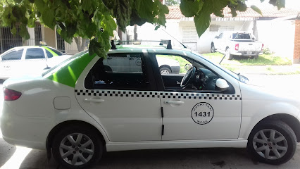 Radio Taxi - Nueva Autonomia SRL