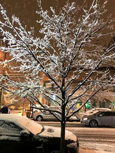 Supermarket «The Tropical Supermarket», reviews and photos, 1208 New York Ave, Union City, NJ 07087, USA