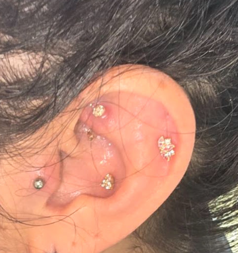 Explore pitbull tattoo ideas, creative tattoo ideas in Friendswood, available at Banter by Piercing Pagoda