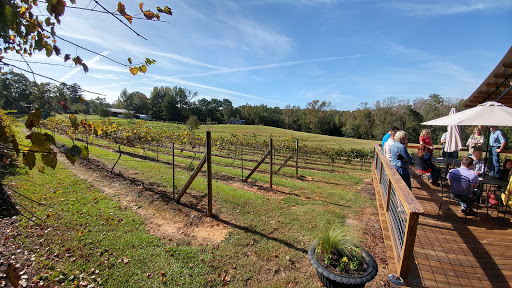 Winery «Hidden Meadow Vineyard and Winery», reviews and photos, 664 Co Rd 606, Jemison, AL 35085, USA