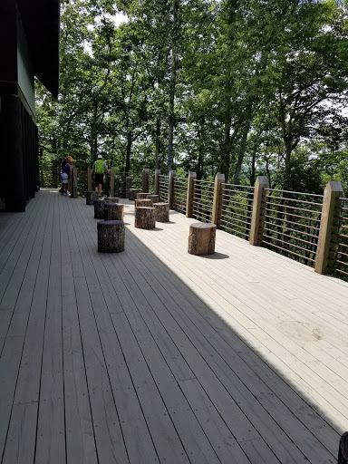 Tourist Attraction «The Gorge - A Zipline Canopy Tour», reviews and photos, 166 Honey Bee Dr, Saluda, NC 28773, USA