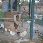 Photo n°10 de l'avis de Nikita.a fait le 01/01/2023 à 21:36 sur le  Terra di Venera à Santa Venerina