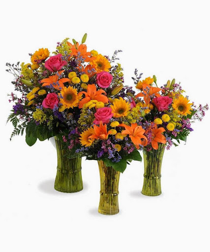 Florist «Walter Knoll Florist», reviews and photos, 14751 Manchester Rd, Ballwin, MO 63011, USA