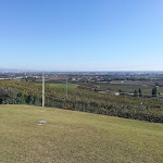 Photo n°6 de l'avis de simone.e fait le 23/10/2023 à 19:56 sur le  Ristorante Tamburino Sardo à Sommacampagna